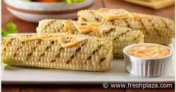 White sweet corn variety hits retail shelves - FreshPlaza.com