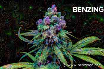 New Leaf Ventures Sells Cannabis Cultivation Assets Shifts Focus On Retail Brands And Products - Benzinga - Benzinga