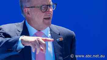 Free trade negotiations with Europe to resume within months, Albanese says