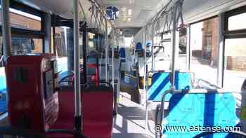 Lavori in via Bologna, deviazioni per gli autobus | estense.com Ferrara - Estense.com