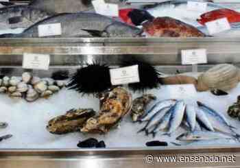 Todo listo para el evento Cocina la Baja - Ensenada.net