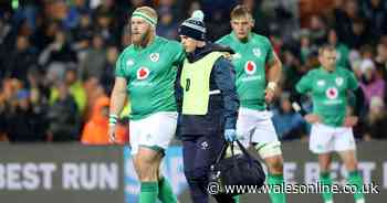 'Shameful' incident in Ireland v Maori All Blacks game sparks outrage