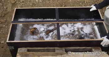 Bamberg: Forscher tauen Kindergrab aus dem 7. Jahrhundert auf - tiefgefrorener Bub wird untersucht