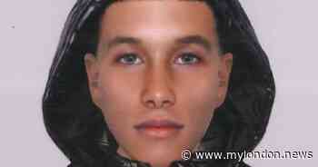 Police hunt teenager for more than 20 sexual assaults in Hackney Marshes - My London