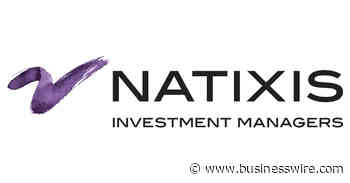 Vaughan Nelson Select Fund (VNSYX) Celebrates Ten Years - Business Wire