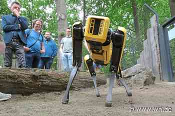 Ein Roboter im Ameisenbär-Gehege