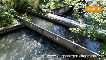 Retter erklären: Darum können Augsburgs Gewässer zur Gefahr werden