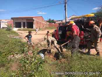 Corpo de Bombeiros resgata gato de cano de esgoto em Quixeramobim - Corpo de Bombeiros do Ceará (.gov)