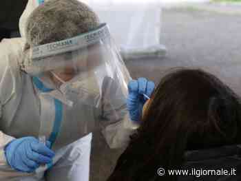 "Andamento ciclico di sei mesi": cosa succede con il Covid