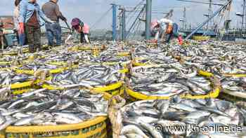 Ozeankonferenz: Plünderung der Weltmeere nimmt weiter zu