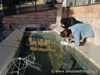 Dal 1° luglio artisti all'opera a Borgo d'Anaunia: in cima alla Val di Non torna “Fontane d'Artista” - la VOCE del TRENTINO