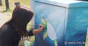 Lokale kunstenaars gezocht voor beschilderen van 20 nutsvoorzieningskasten | Stekene | hln.be - Het Laatste Nieuws