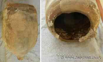 Analysis of ancient Roman jars suggests wine was made using native grapes in waterproofed containers
