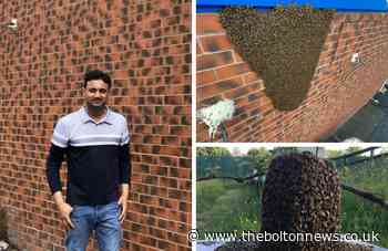 Bolton swarm season with bees and wasps being spotted - The Bolton News