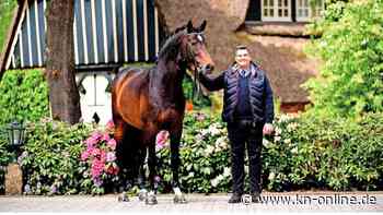 Kuschel-Cup-Auftakt wird in Elmshorn gefeiert
