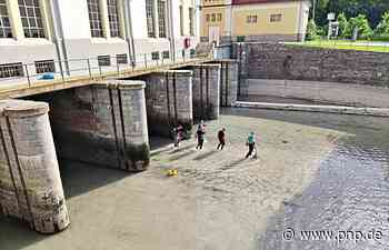 Seltene Fische gerettet - Bad Reichenhall - Passauer Neue Presse - PNP.de