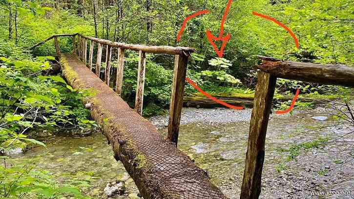 Sitka’s Search and Rescue team rescues hiker after fall from footbridge