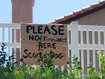 4th Of July Fireworks Utterly Terrifying For Winnetka, Glencoe Dogs - Patch