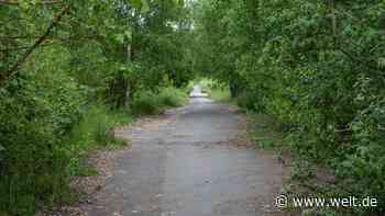 Koblenz: 71-Jähriger auf Waldweg überfallen und in Kofferraum gesperrt - WELT - WELT