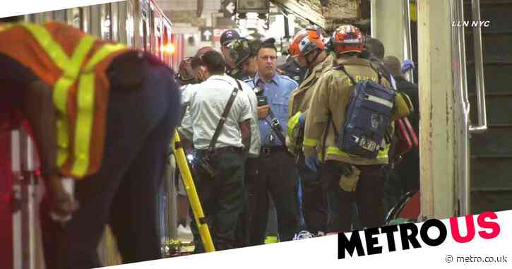 Woman, 20, Fatally Struck By NYC Subway Train After ‘accidentally ...