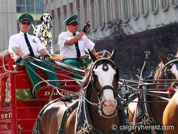 Following pandemic exits, sponsors mosey on back to Calgary Stampede - Calgary Herald