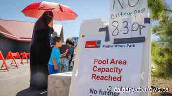 Calgary climate really to be held outside MP Greg McLean's office | CTV News - CTV News Calgary