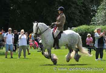 Popular horse and pony show returns - Spalding Today