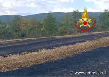 Ancora incendi: campo in fiamme a Massa Martana - umbriaON