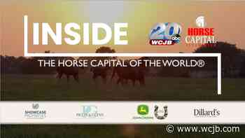 Horse Capital TV highlights polo horse Betty White - WCJB