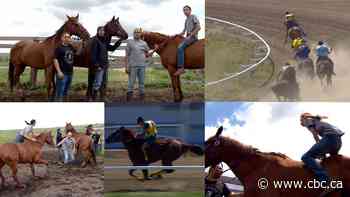 Those who compete in horse relay call it the original extreme sport, ‘organized chaos’