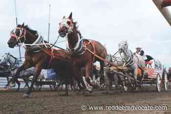 Night 1 of chucks at Ponoka Stampede - Red Deer Advocate