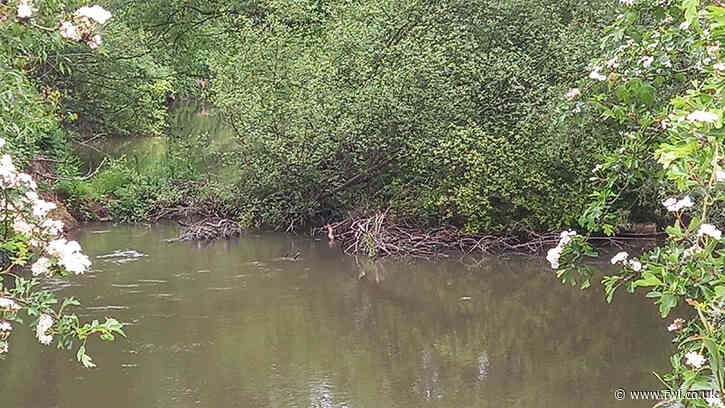 Environment Agency accused of neglecting River Lugg for years