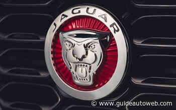 Jaguar prépare trois VUS électriques