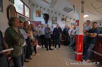 Course landaise à Dax : « Enfin une saison complète ! » - Sud Ouest