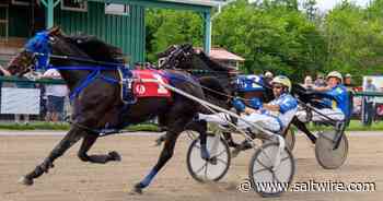 Revenant Rules turns in fastest mile at Cape Breton's Northside Downs - SaltWire NS