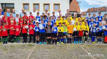 Grundschule Vilseck wird Fußball-Landkreismeister mit 18:1 Toren - Onetz.de