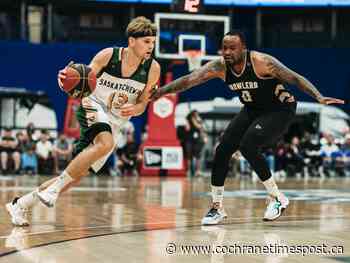 Rattlers beat Newfoundland; next up is Canada Day clash against Niagara - Cochrane Times Post