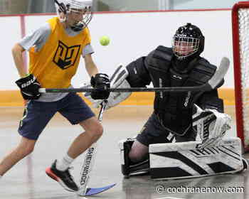 Ball hockey tournament raises $1400 and gathers plenty of food - CochraneNow.com