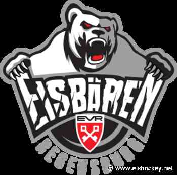 Korbinian Schütz bleibt ein Eisbär - Eishockey.net