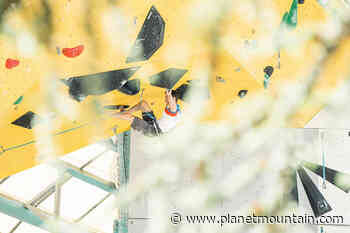 Coppa Europa Lead & Speed ad Arco: live streaming oggi - Planetmountain