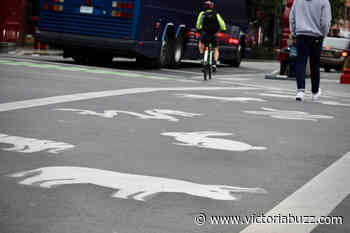 Victoria paints zodiac animals along Chinatown crosswalk - Victoria Buzz