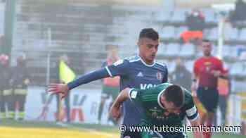 Salernitana, primi approcci per un terzino del Pisa - tuttosalernitana.com