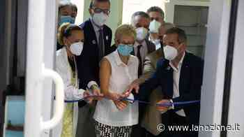 Tumori, speranza da Pisa: iI futuro è la ‘flash therapy’, macchinario unico al mondo - LA NAZIONE