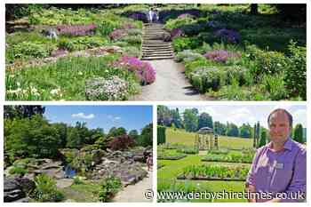 10 photos show the transformation of Chatsworth's historic garden - Derbyshire Times