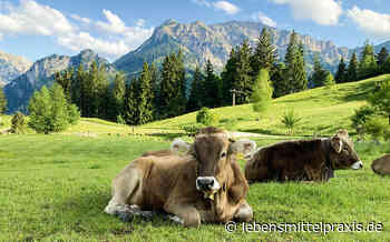 Heumilch - Grenzenloses Marketing - Lebensmittelpraxis.de - Lebensmittel Praxis