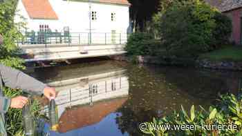 In Delmenhorst konstituiert sich ein Runder Tisch zum Thema Wasser - WESER-KURIER - WESER-KURIER