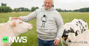 Eerste Gouden Grutto-award voor landbouwer uit Zele die anders werkt om akkervogel te beschermen - VRT NWS