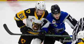 Saint John Sea Dogs skate past Hamilton Bulldogs 6-3 to win Memorial Cup
