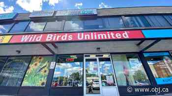Owners of Wild Birds Unlimited in Kanata ready to spread their wings - Ottawa Business Journal