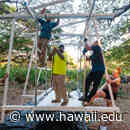 Architecture students design temporary emergency shelter | University of Hawaiʻi System News - University of Hawaii